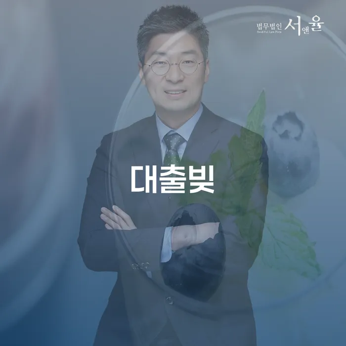 개인회생전문변호사 빚 합법적인 빠른방법 단점을