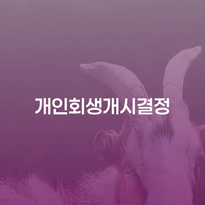부부파산 개인회생 처리방법 법무법인추천