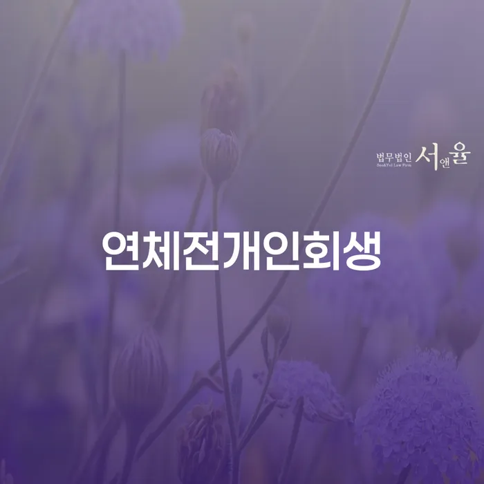 임실군 빚 빨리 갚는법 채무조정제도을 이용하여 급증하는