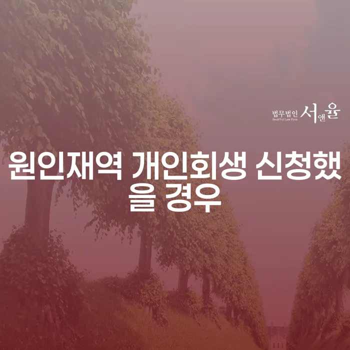 원인재역 개인회생 신청했을 경우