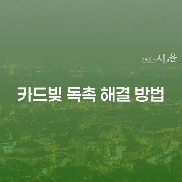 2000만원 카드빚 독촉 해결 방법은 무엇일까요?