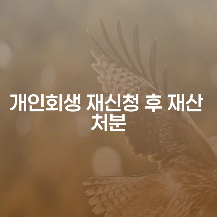 개인회생 재신청 후 재산 처분: 다시 시작할 수 있다면?
