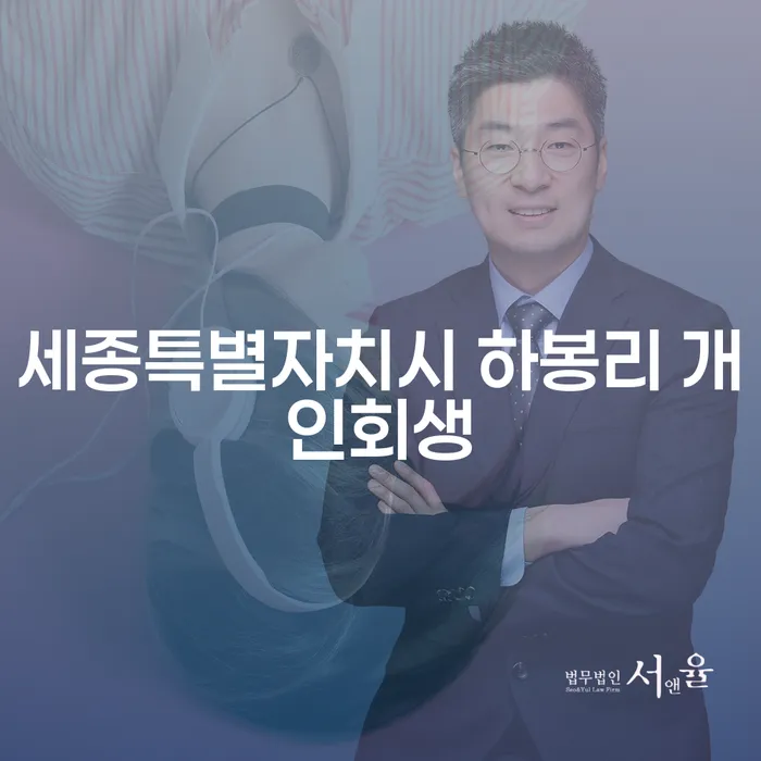 세종특별자치시 하봉리 개인회생, 당신의 재정 문제 해결의 시작은?